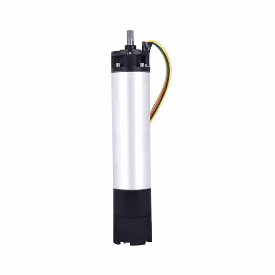 motor_sumergible_ever6_chico MSAE6 53460 Motor sumergible