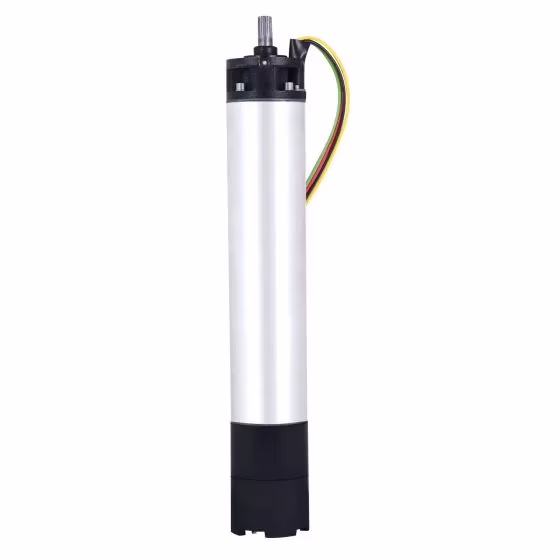 motor_sumergible_ever6_grande MSAE6 603460 Motor sumergible