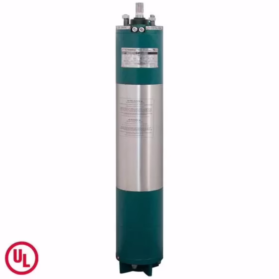MSRT6 253460 Motor sumergible