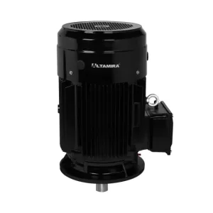 MTR-P-T100VD Motor de superficie vertical eficiencia PREMIUM IE3