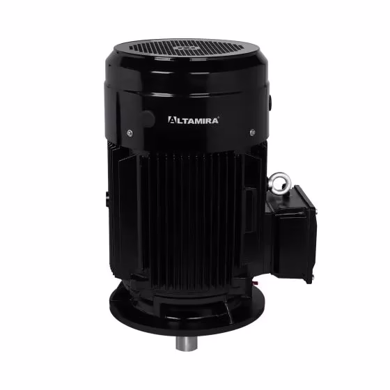 mtr-p-t_15hp_a_100hp.jpg MTR-P-T100VD Motor de superficie vertical eficiencia PREMIUM IE3