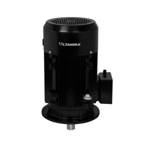 MTR-P-T10VD Motor de superficie vertical eficiencia PREMIUM IE3