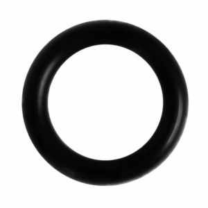 r-ap5xb-p-oring-tc Cesto prefiltro para las bombas SILEN2 200, 300, SILENPLUS