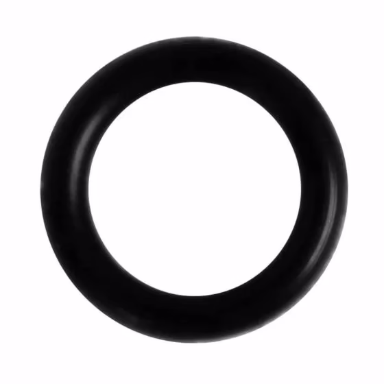r-ap5xb-p-oring-tc Cesto prefiltro para las bombas SILEN2 200, 300, SILENPLUS