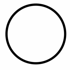 O-ring del impulsor para motobomba para piscina SUPRA